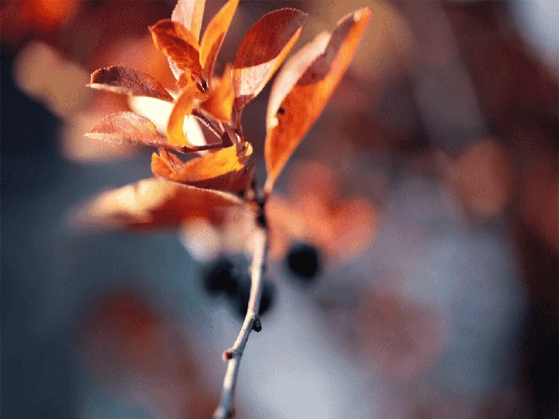 南京造影费用独新协和(漯河试管医院环境)